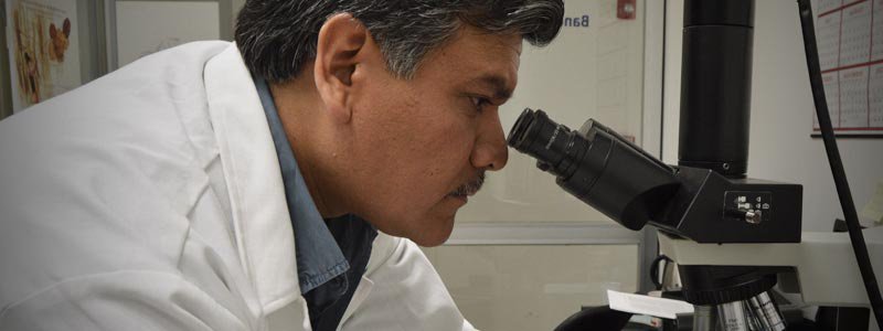Análisis microscópico